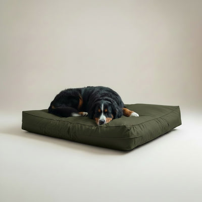 Cama para Perros  Impermeable Modelo Origen | Kuapets - Verde Olivo