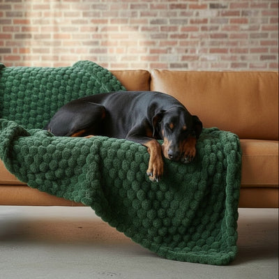 Manta para Perros Velvet | 125x150 cm - Evergreen