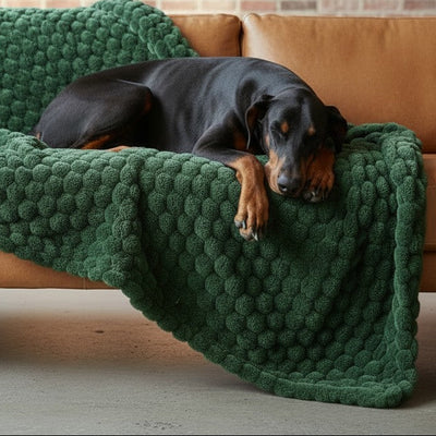 Manta para Perros Velvet | 125x150 cm - Evergreen