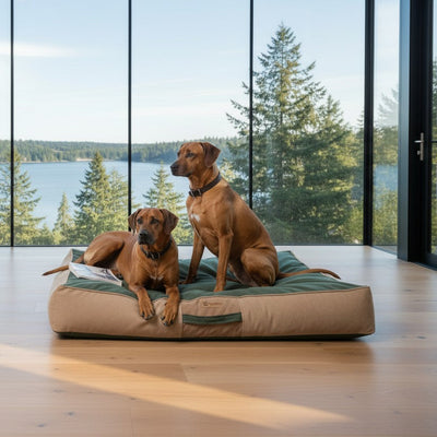 Cama Para Perro Origen Kuapets | Verde Botella - Café