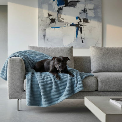 Manta para Perros Velvet  | 125x150 cm - color Navy