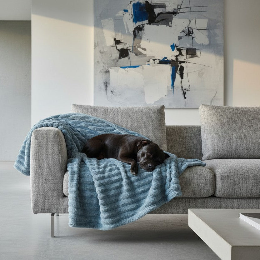Manta para Perros Velvet  | 125x150 cm - color Navy