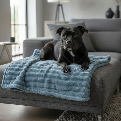 Manta para Perros Velvet  | 125x150 cm - color Navy