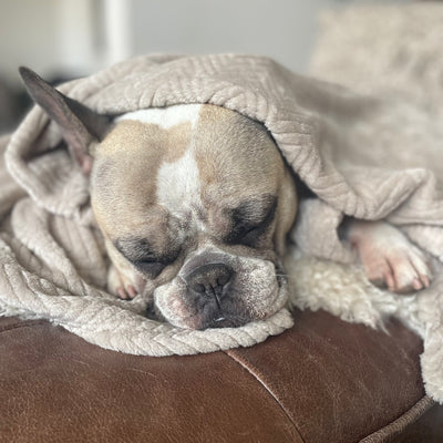 Manta antiestrés beige