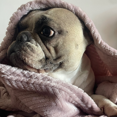 Manta antiestrés Rosa