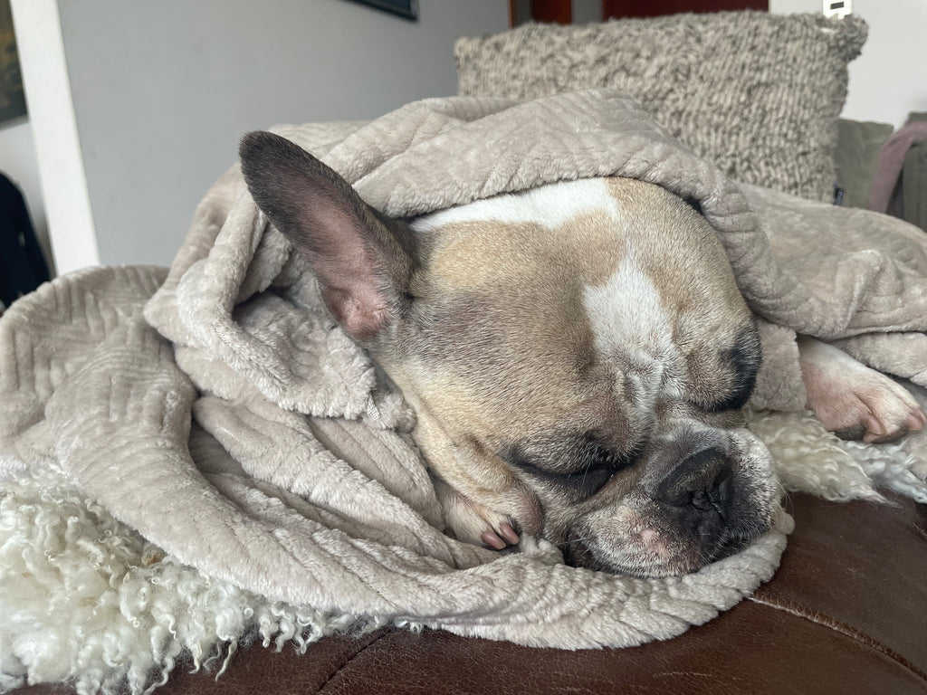 Manta antiestrés beige