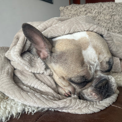 Manta antiestrés beige