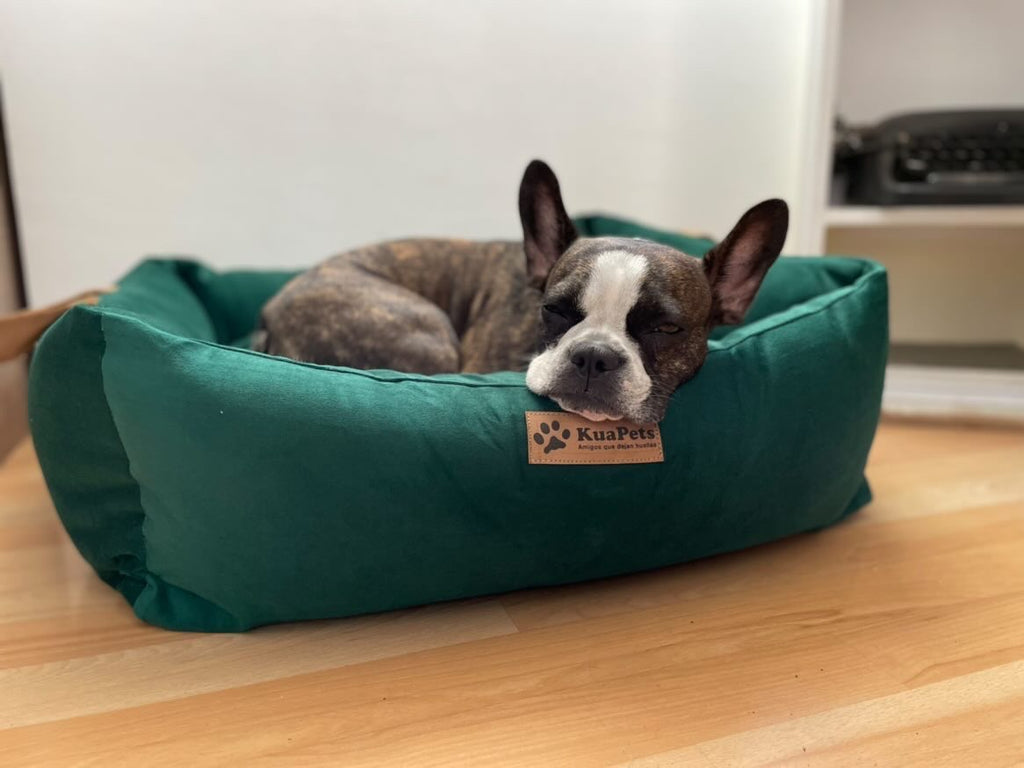 Cama para mascota modelo nido Kuapets verde botella