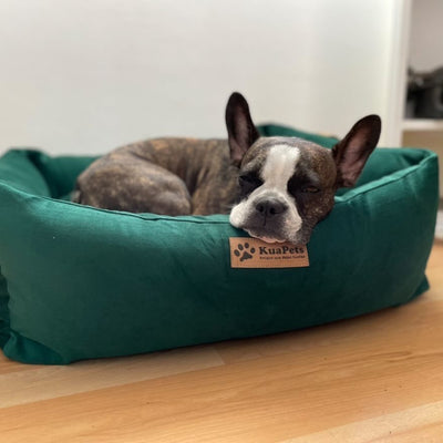 Cama para mascota modelo nido Kuapets verde botella
