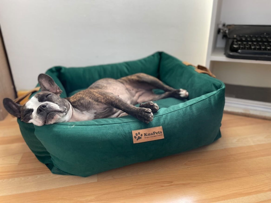 Cama para mascota modelo nido Kuapets verde botella