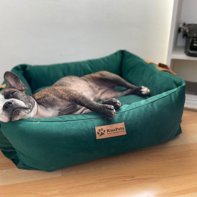 Cama para mascota modelo nido Kuapets verde botella