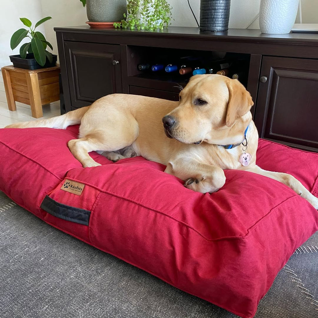 Cama para perros color rojo carmin Kuapets
