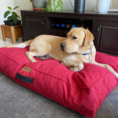 Cama para perros color rojo carmin Kuapets