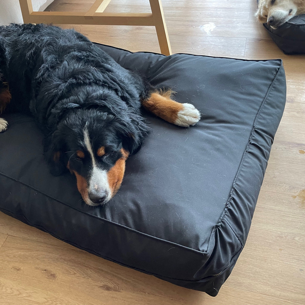 Cama para Perros  Impermeable Modelo Origen | Kuapets - Negro