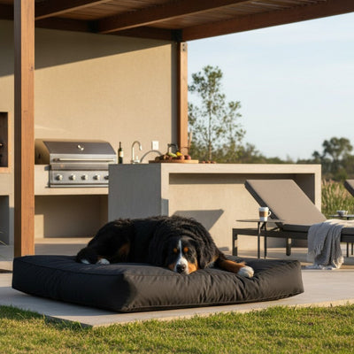 Cama para Perros  Impermeable Modelo Origen | Kuapets - Negro