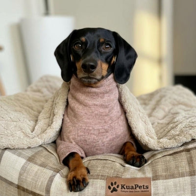 Manta para Perros Velvet | 125x150 cm - Beige