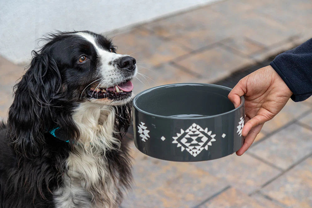 Plato Cerámica para perro 6 Tazas Tribal Charcoal