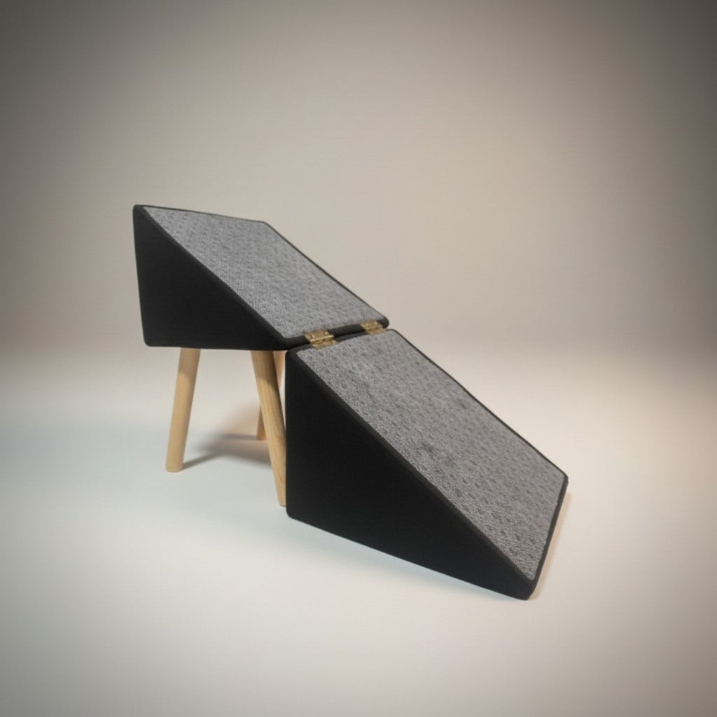 Puff Rampa 2 en 1 para perros | Kuapets