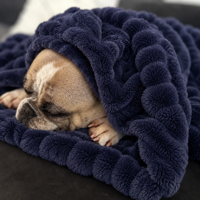 Manta de contención para perros azul