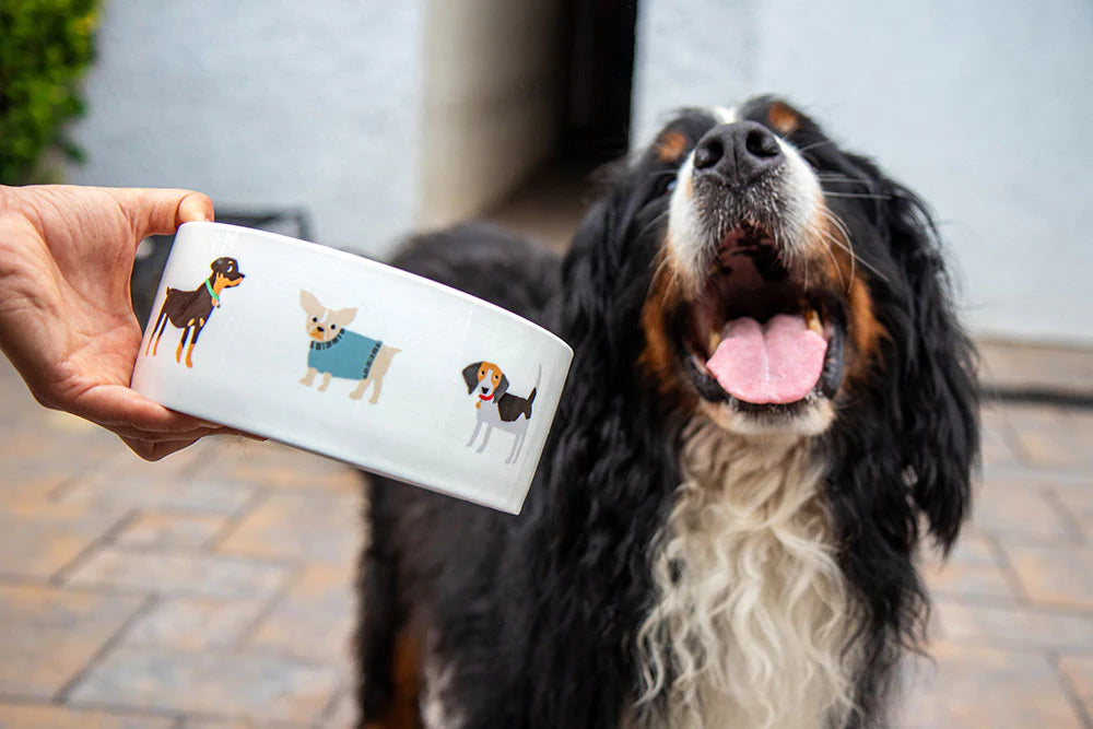 Plato de cerámica para perro 6 tazas happy breeds