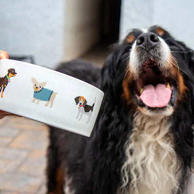 Plato de cerámica para perro 6 tazas happy breeds