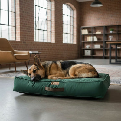 Camas para perros grandes Origen verde botella Kuapets