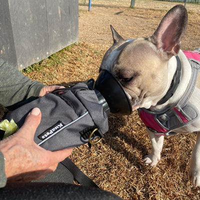 Bolso porta botella gris
