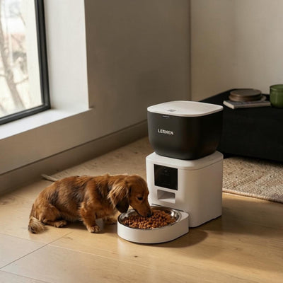 Comedero Automático WiFi con Cámara para Perros y Gatos