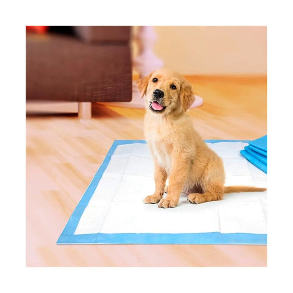 Sabanillas para Perros 60x90 cm – Aroma Manzana (Pack x8)