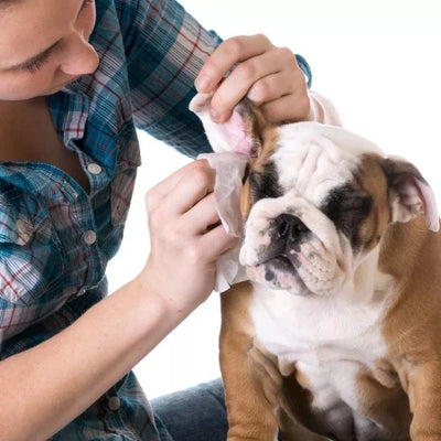 Toallas húmedas para perros y gatos 50 unidades