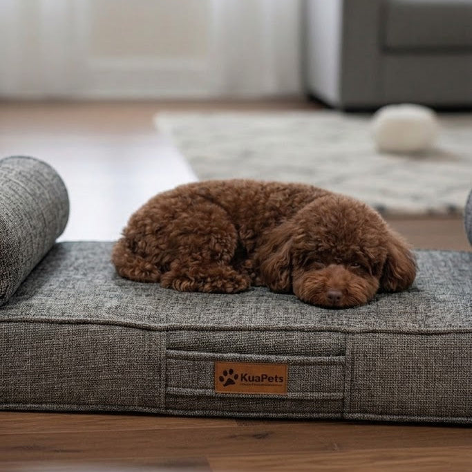 Cama para perro Ortopédica Kuapets - New Therapy