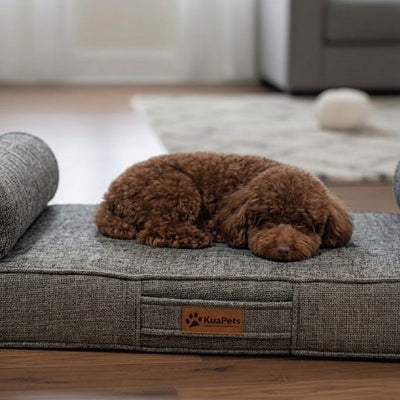 Cama para perro Ortopédica Kuapets - New Therapy