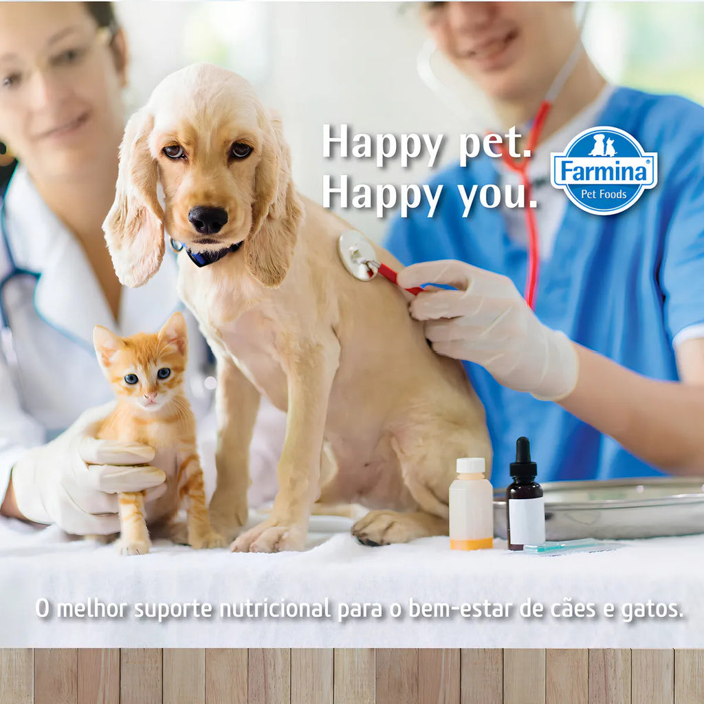 Alimento Vet Life Natural Canine Hypoallergenic para perro adulto los tamaños sabor mix de 2 kg