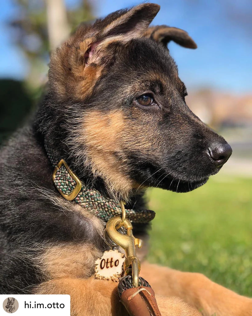 Collar trenzado camo