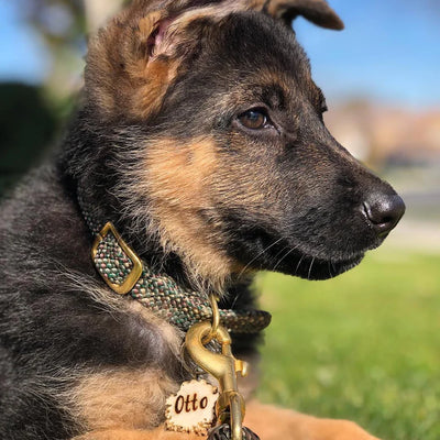 Collar trenzado camo