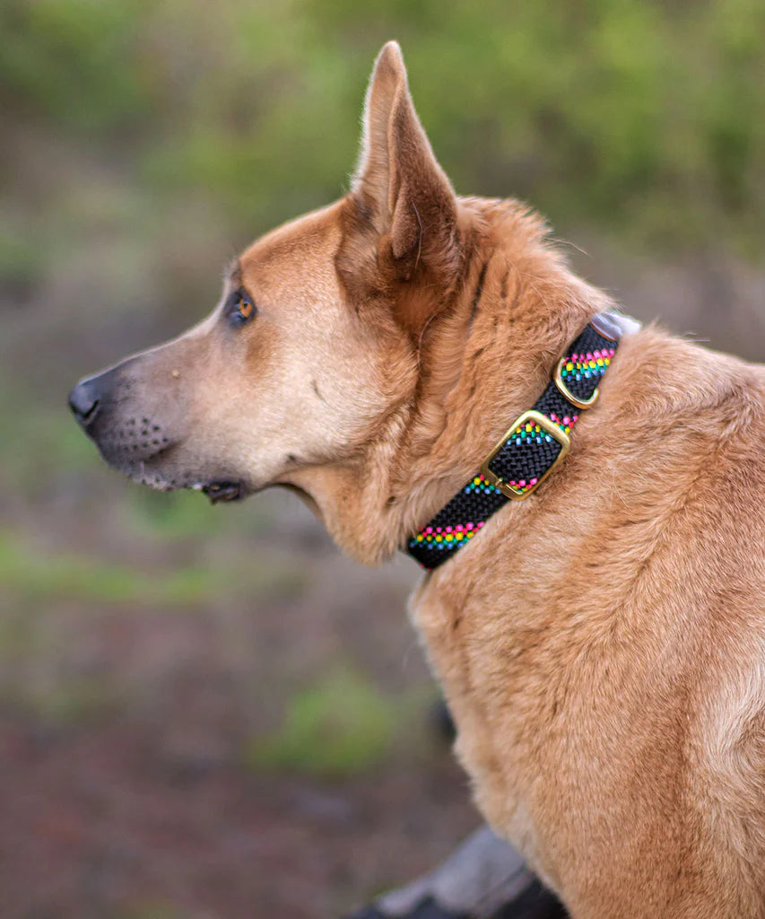 Collar Trenzado Black Confetti