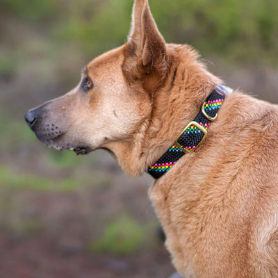 Collar Trenzado Black Confetti
