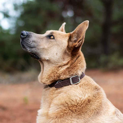 Collar trenzado brown