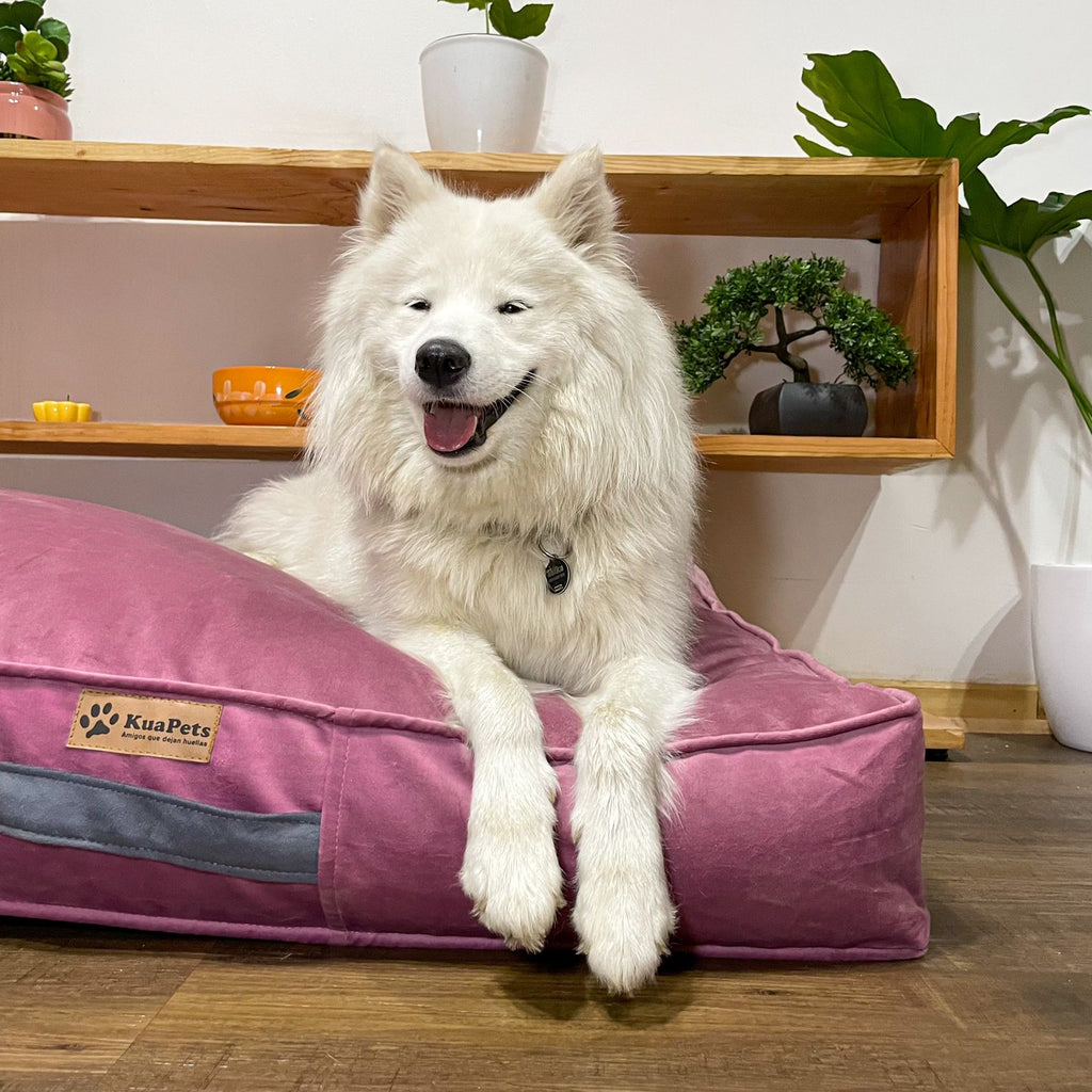 Cama Para Perro Modelo Origen Kuapets Palo Rosa