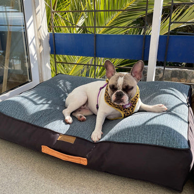 Cama para perro turquesa - negro Kuapets