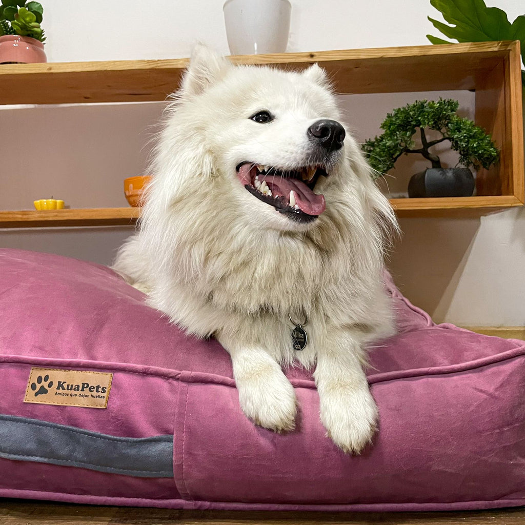 Cama Para Perro Modelo Origen Kuapets Palo Rosa