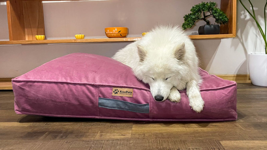 Cama Para Perro Modelo Origen Kuapets Palo Rosa
