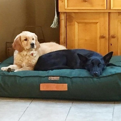 Cama para perros verde botella Kuapets