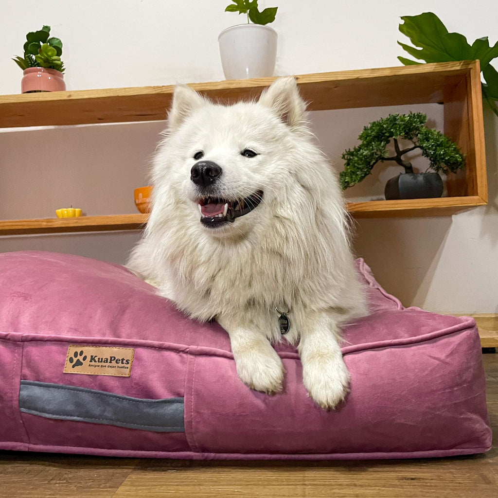 Cama Para Perro Modelo Origen Kuapets Palo Rosa