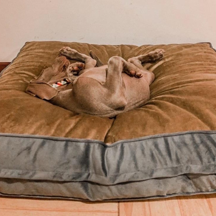 Cama para mascotas modelo origen Kuapets café-gris