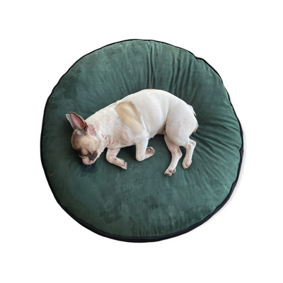 Cama para perro redonda Kuapets verde botella - negro