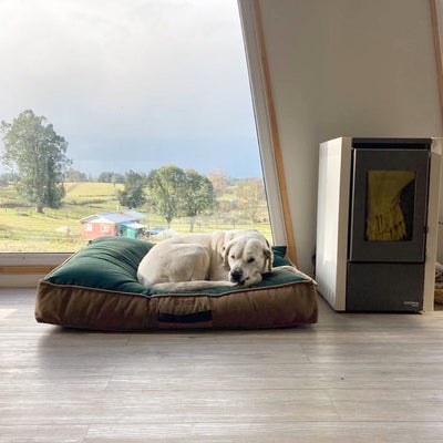 Cama Para Perro Modelo Origen Kuapets Verde Botella - Café