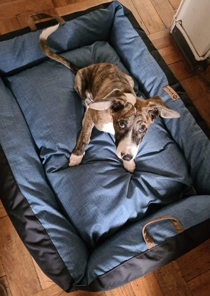 Cama para perro modelo nido Kuapets azul jeans - negro