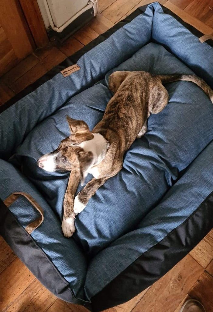 Cama para perro modelo nido Kuapets azul jeans - negro