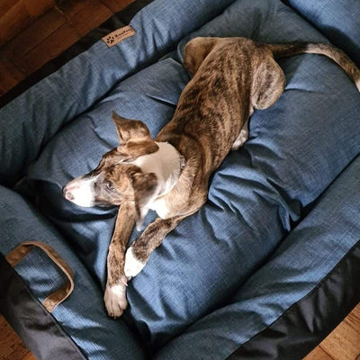 Cama para perro modelo nido Kuapets azul jeans - negro